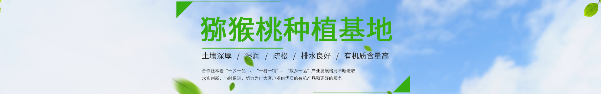 三级片国产在线观看